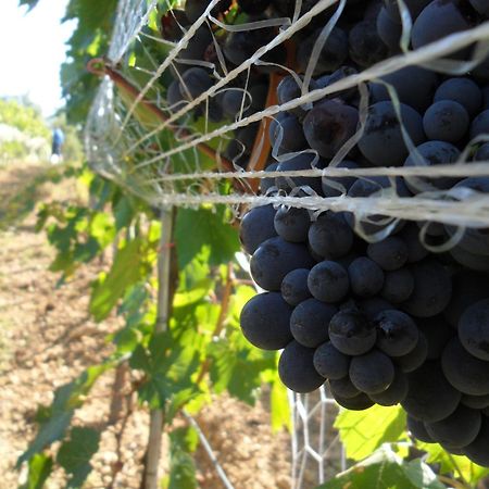 Amedea Tuscany Country Experience Пістоя Екстер'єр фото