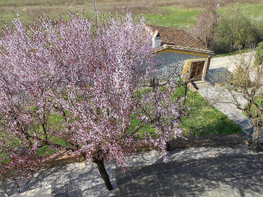 Amedea Tuscany Country Experience Пістоя Екстер'єр фото