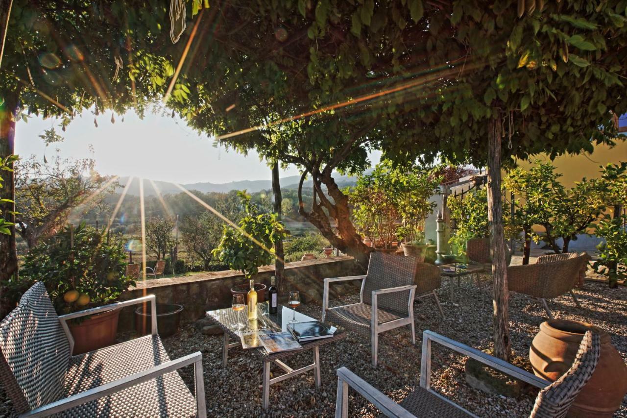 Amedea Tuscany Country Experience Пістоя Екстер'єр фото