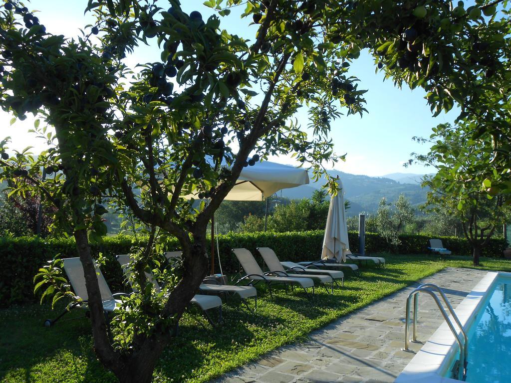 Amedea Tuscany Country Experience Пістоя Екстер'єр фото