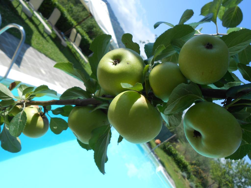 Amedea Tuscany Country Experience Пістоя Екстер'єр фото