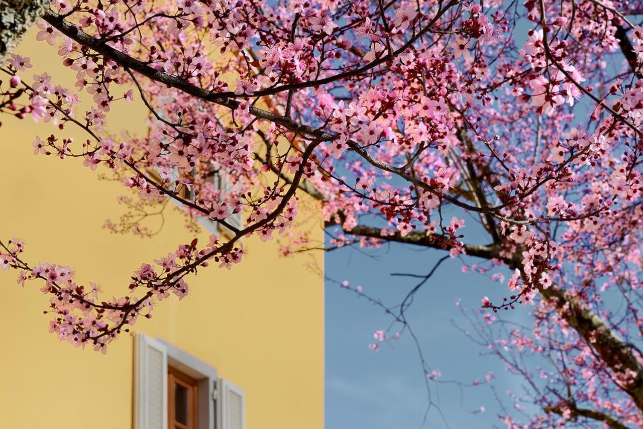 Amedea Tuscany Country Experience Пістоя Екстер'єр фото