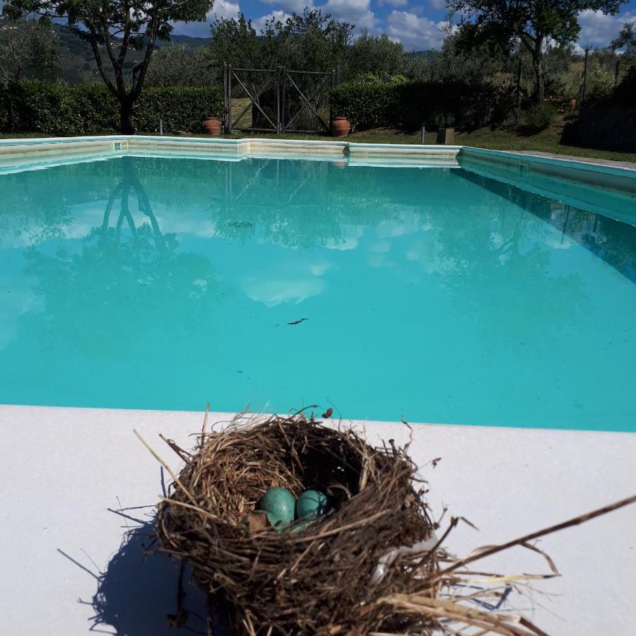 Amedea Tuscany Country Experience Пістоя Екстер'єр фото